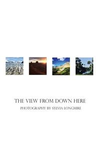 The View from Down Here