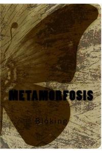 Metamorfosis