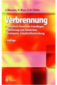 Technische Verbrennung: Physikalisch-Chemische Grundlagen, Modellbildung, Schadstoffentstehung