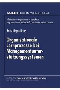 Organisationale Lernprozesse Bei Managementunterstützungssystemen