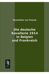 Die Deutsche Kavallerie 1914 in Belgien Und Frankreich