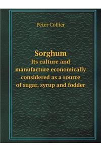 Sorghum Its Culture and Manufacture Economically Considered as a Source of Sugar, Syrup and Fodder