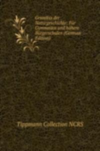 Grundiss der Naturgeschichte: Fur Gymnasien und hohere Burgerschulen (German Edition)