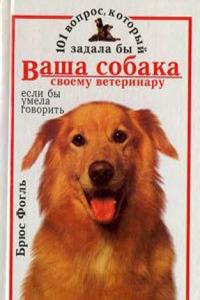 La Major, cathedrale de Marseille