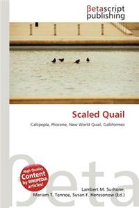 Scaled Quail