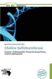 Choline Sulfotransferase