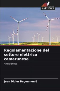 Regolamentazione del settore elettrico camerunese