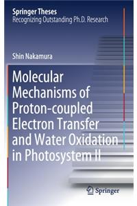 Molecular Mechanisms of Proton-Coupled Electron Transfer and Water Oxidation in Photosystem II