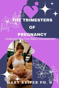 Trimesters of Pregnancy