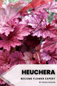 Heuchera