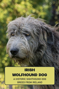 Irish Wolfhound Dog