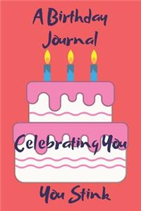 A Birthday Journal Celebrating You You Stink