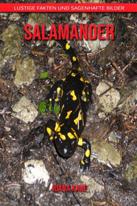 Salamander