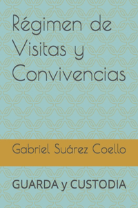 Régimen de Visitas y Convivencias