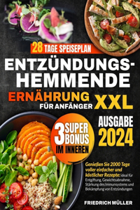 Entzündungshemmende Ernährung Für Anfänger XXL
