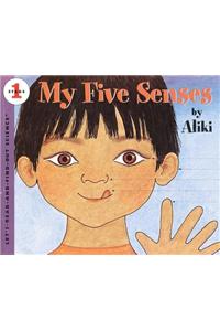 My Five Senses