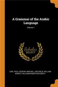 A Grammar of the Arabic Language; Volume 1