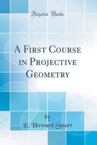 A First Course in Projective Geometry (Classic Reprint)