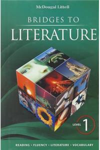 Bridges to Literature