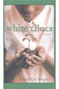 White Lilacs