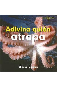 Adivina Quién Atrapa (Guess Who Grabs)