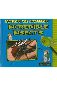 Biggest vs. Smallest Incredible Insects