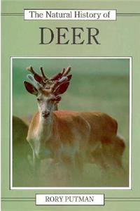 Natural History of Deer