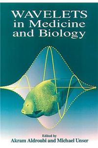 Wavelets in Medicine and Biology