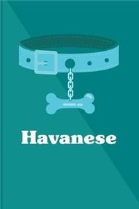 Havanese