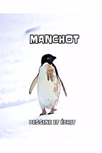 Manchot