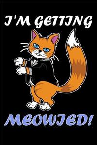 I'm getting Meowied