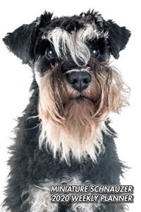 Miniature Schnauzer 2020 Weekly Planner
