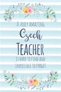 A Truly Amazing Czech Teacher Is Hard to Find and Impossible to Forget