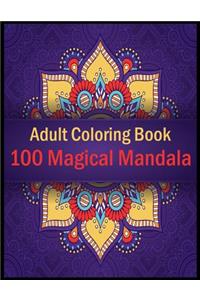 Adult Coloring Book 100 Magical Mandala
