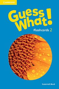 Guess What! American English Level 2 Flashcards (Pack of 91)