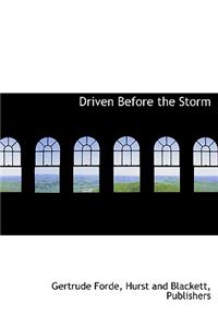 Driven Before the Storm