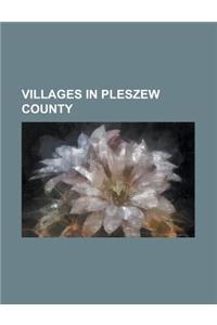 Villages in Pleszew County