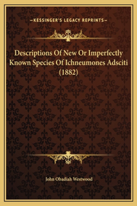 Descriptions Of New Or Imperfectly Known Species Of Ichneumones Adsciti (1882)