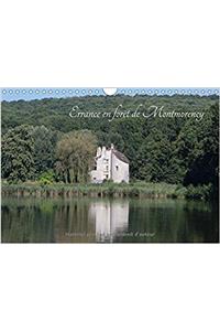 Balade En Foret De Montmorency 2017