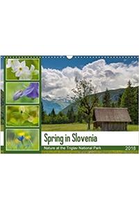 Spring in Slovenia - Nature at the Triglav National Park 2018