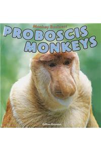 Proboscis Monkeys