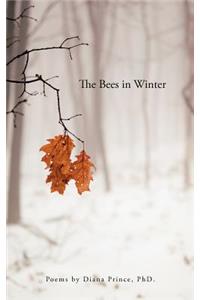 Bees in Winter