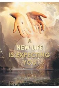 New Life Is Expecting You