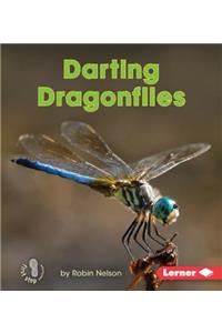 Darting Dragonflies