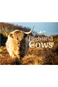 Villager Jim's Highland Cows