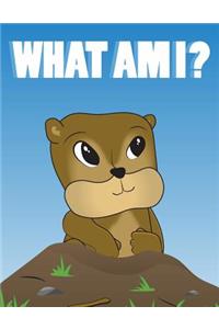 What Am I?