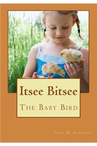 Itsee bitsee the baby bird
