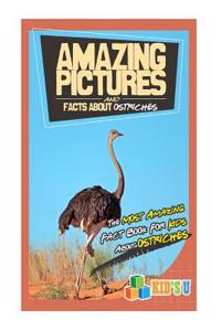 Amazing Pictures and Facts about Ostriches: The Most Amazing Fact Book for Kids about Ostriches