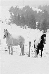 Journal Horses Winter Pasture: (Notebook, Diary, Blank Book)