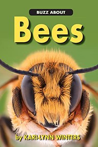 Buzz about Bees